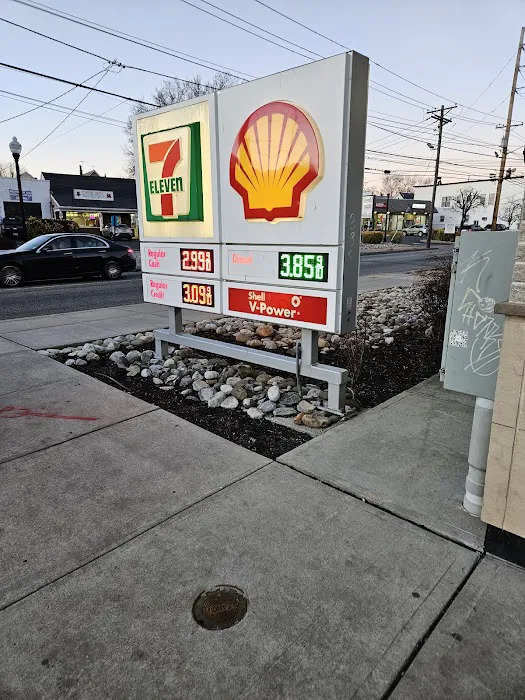 Shell 1