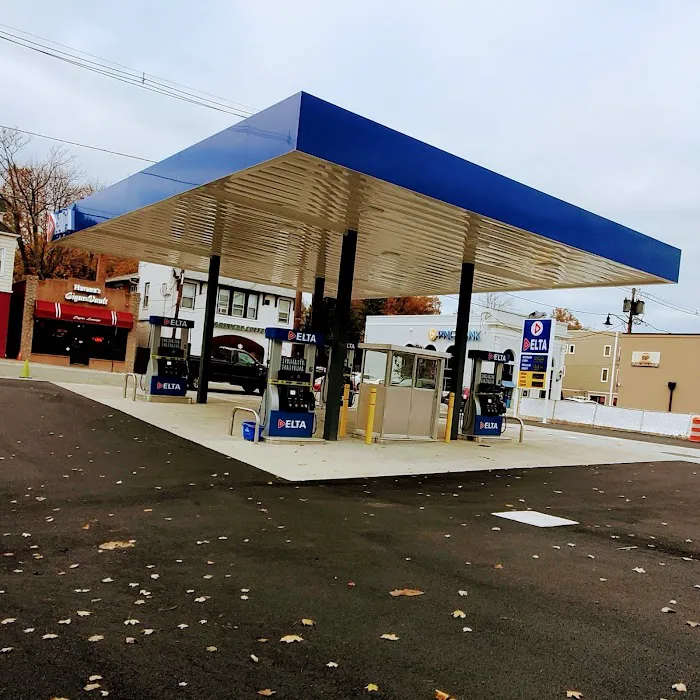 Delta Gas 1