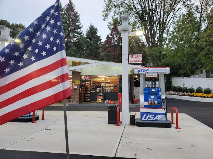 Usa Gas 1