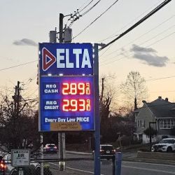 Delta Gas ico