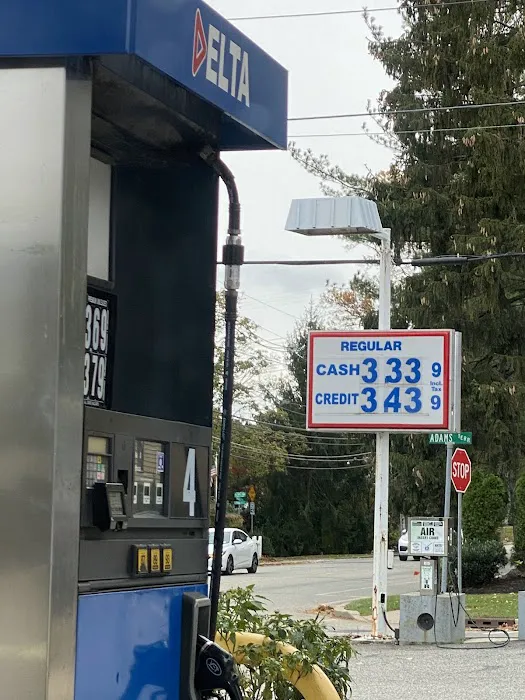 Delta Gas 3