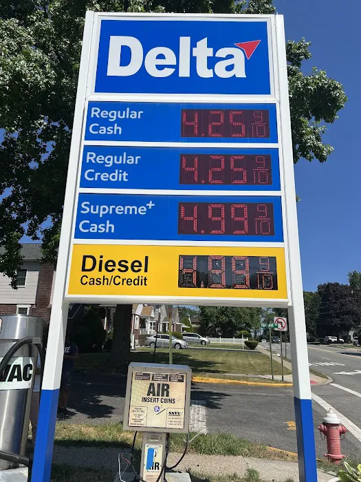 Delta Gas 3
