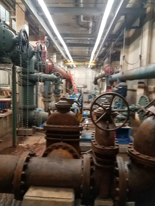 Royal Petroleum 2