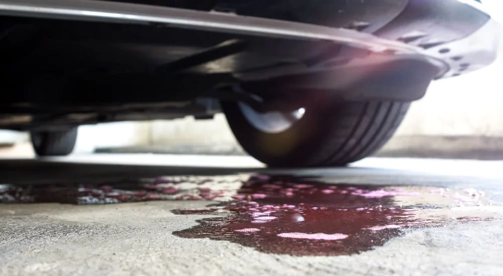 What to Do If Your Radiator Hose Bursts While Driving