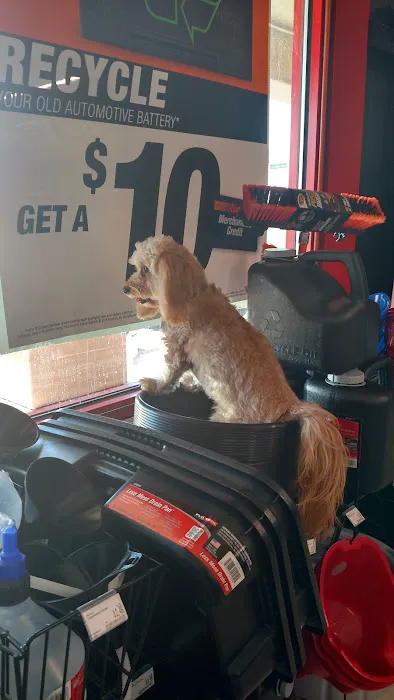 AutoZone Auto Parts 2