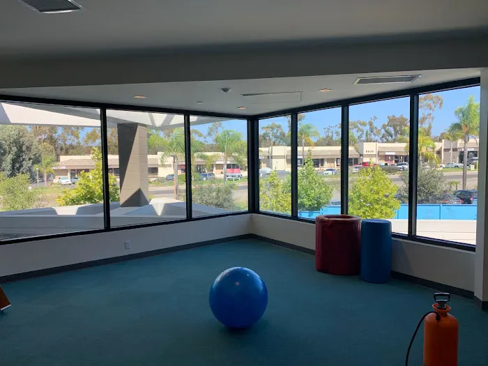 SWS Window Tinting 4