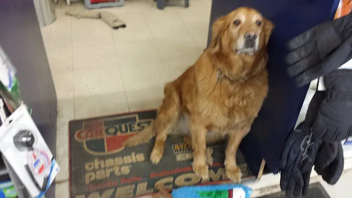 WILLIAMS AUTO SUPPLY 2