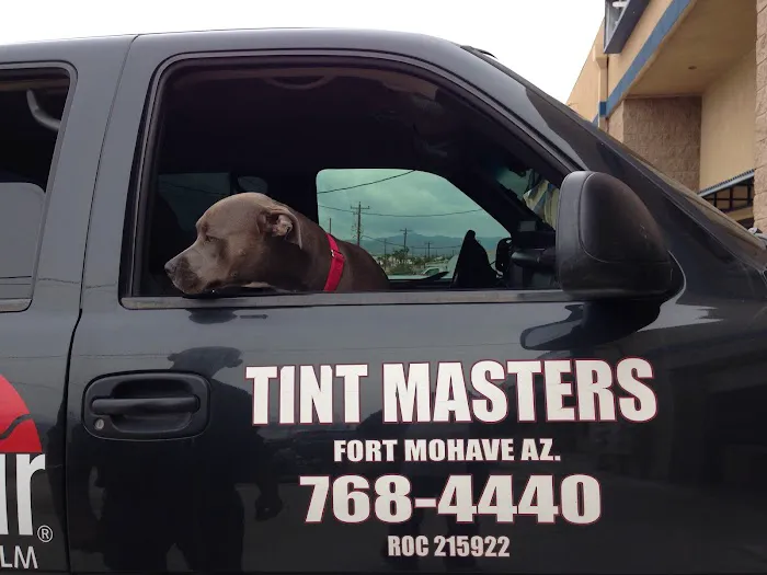 Tint Masters 4