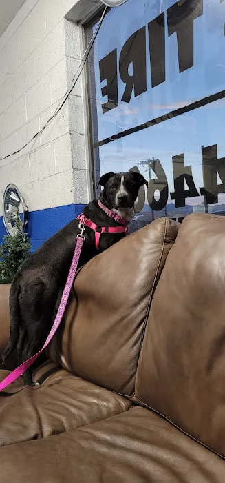 Latinos Tire Shop 2