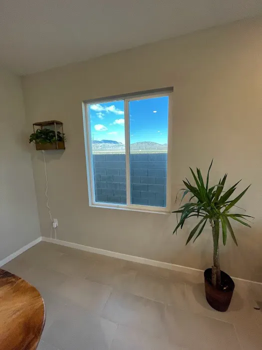Filmo Window Tinting 9