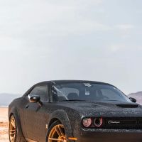 1013 customs