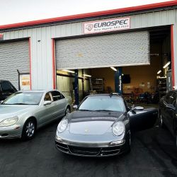 EuroSpec Auto Repair ico