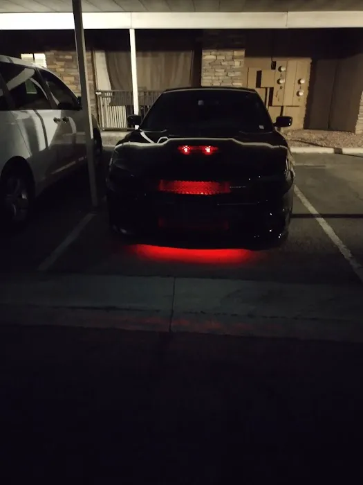 Vegas customs 3