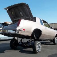 Vegas customs