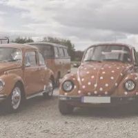 Beetle Barn
