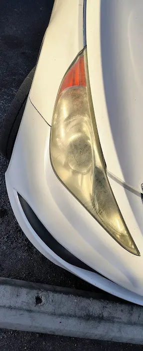 DENTBUDDY 0