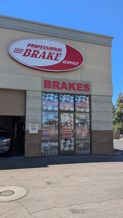 Professional Brake Service 2