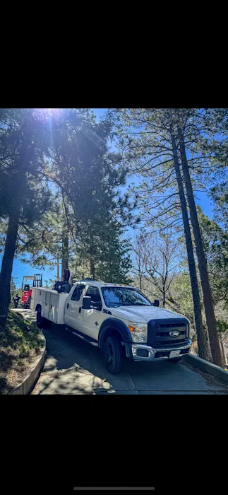 Alpha Diesel Mobile Service 9
