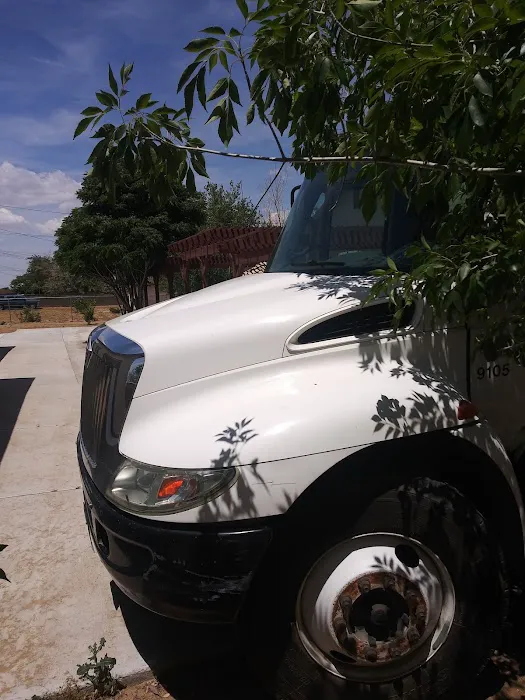 Primos Tires 2