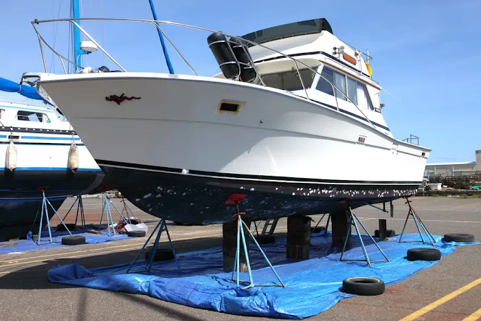 Rezurxn Speed and Marine 6
