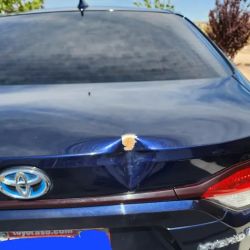 Sonshine Auto Body ico