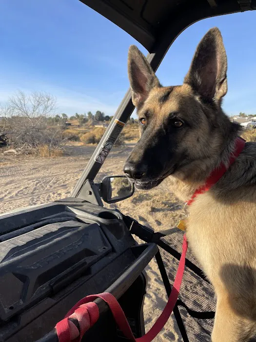 Excessive ATV/UTV 0