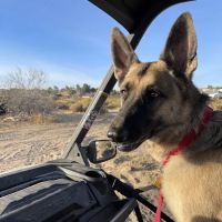 Excessive ATV/UTV