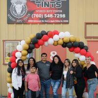 Wikid Spy Tints