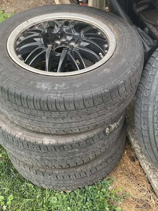 Zeus Tire 3