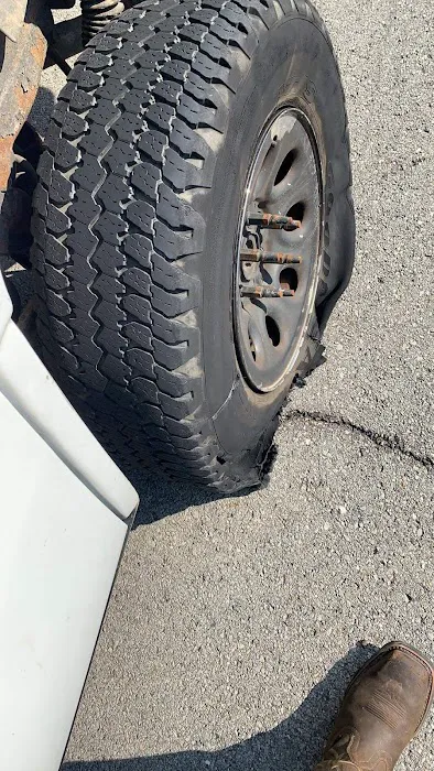 Zeus Tire 5