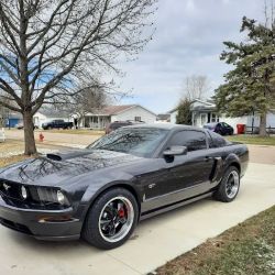 Taylor Autobody ico