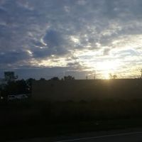 NAPA Auto Parts