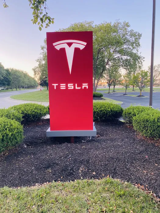 Tesla - Collision 4