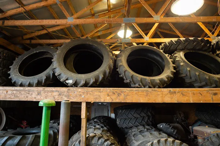 Wilson Tire 3