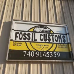 Fossil Customs ico
