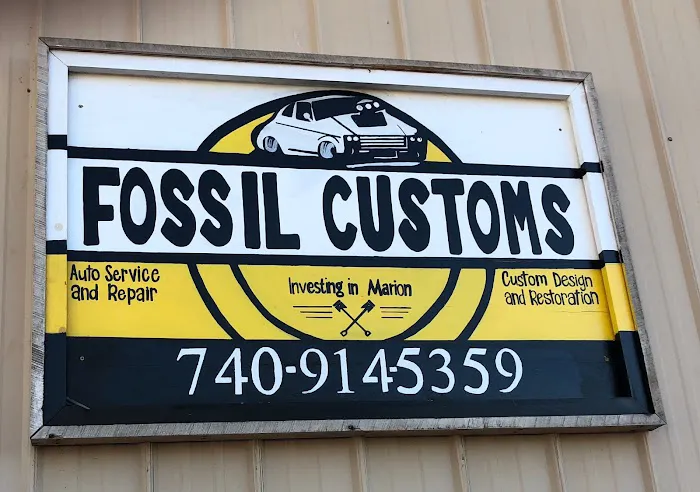 Fossil Customs 6