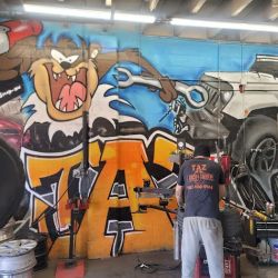 Taz Tires Marion ico