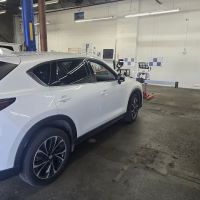 Net Auto Glass