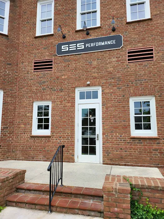 SES Performance 0