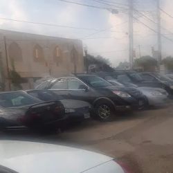 Genessee Auto ico