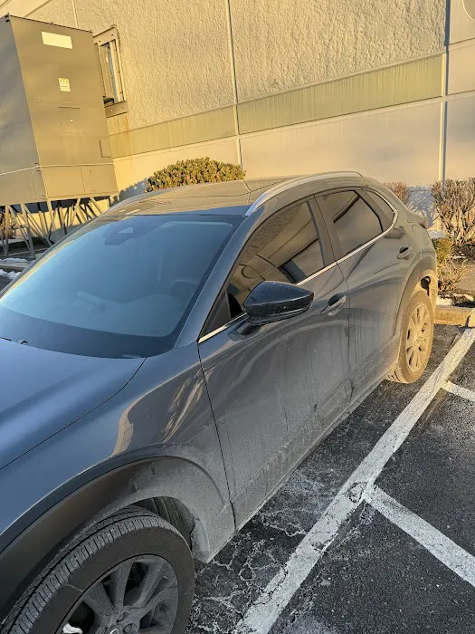 Addie's Tints 4