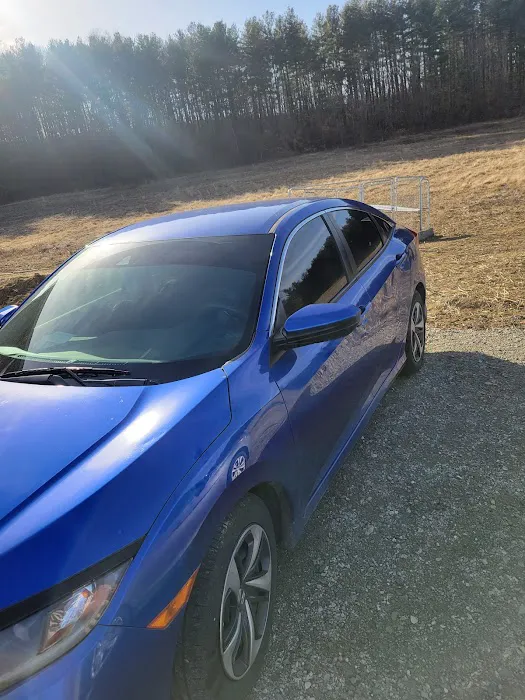 Addie's Tints 8