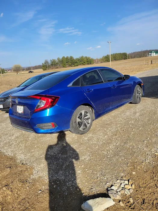 Addie's Tints 9