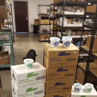 Global Transmission Parts