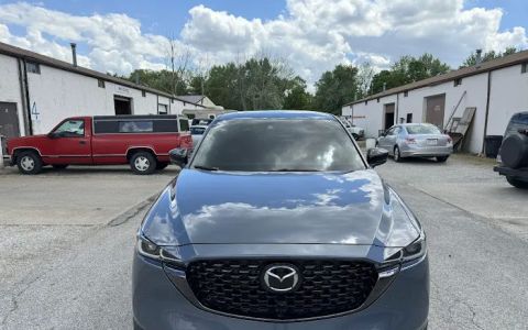 Window Tint Solutions