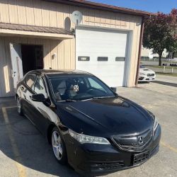 Star Gloss Auto Appearance ico