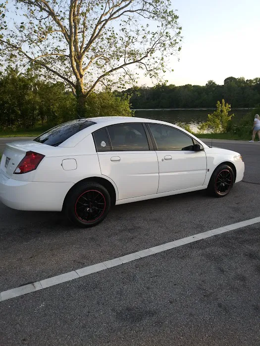 Scorpion Window Tinting 0