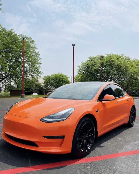 The Tint Lab by Rabid Customs 5