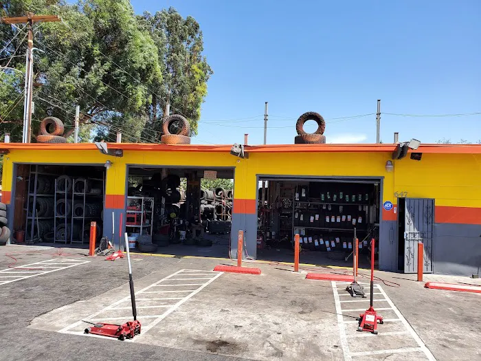 MG Tires 6