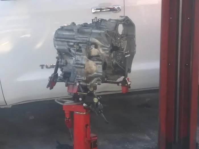 Primo's Transmission Total Care 6